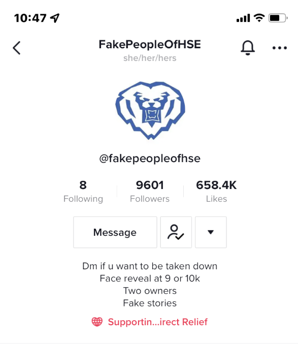 @fakepeopleofhse on TikTok