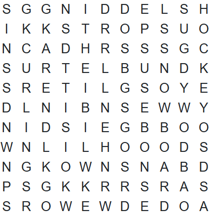 SMN Word Search #4