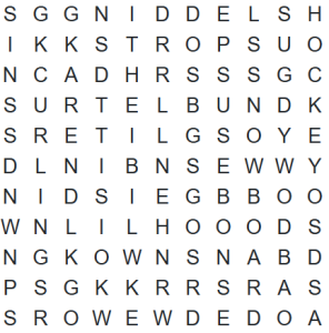 SMN Word Search #4