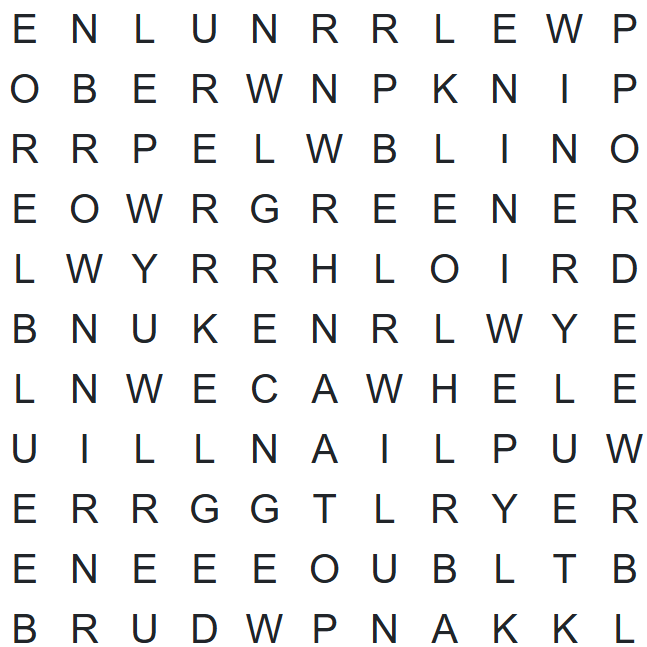 SMN Word Search 1/28/25