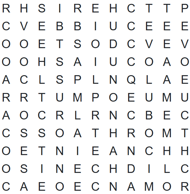 SMN Word Search 2/13/25