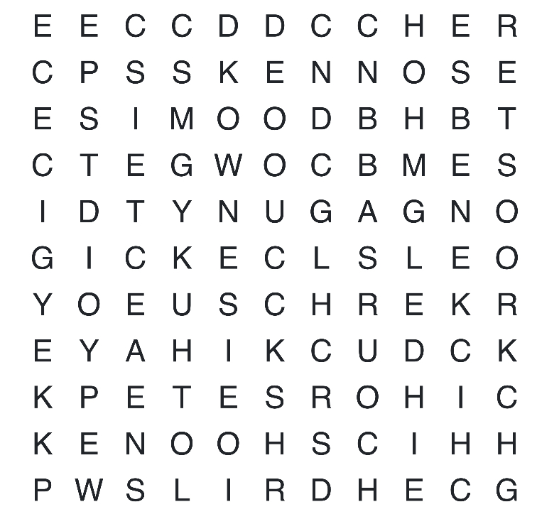 SMN Word Search 3/5/25